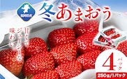 福岡県産 冬あまおう 4パック 南国フルーツ株式会社《2026年12月上旬-2027年1月末頃出荷》福岡県 鞍手町 あまおう いちご イチゴ 送料無料【配送不可地域あり】---skr_cnngkam_af12_26_21500_1kg---