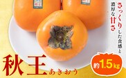 柿 秋王 約1.5kg（4-6玉） 南国フルーツ株式会社【26年度出荷】《10月中旬-11月末頃出荷》福岡県 鞍手町 福岡県産 柿 フルーツ 果物---skr_cnngka_bc10_26_17000_6i---