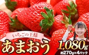 ★2026年出荷分★あまおう 大容量 あまおう いちご 1080g フルーツ 【着日指定不可】《2月中旬-4月末頃出荷予定》ふるさと納税 いちご 福岡県 鞍手郡 【鞍手町】---kr_ckramar_2c4m_r7_9000_1080g---