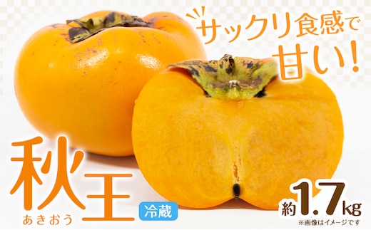 ☆2026年出荷☆ 秋王 約1.7kg《11月上旬-11月末頃出荷》福岡県 鞍手郡 鞍手町 柿 かき カキ 種なし 種無し 福岡県産 果物 くだもの フルーツ 【配送不可地域あり】---iskr_clfkao_ac11_26_12500_1700g---