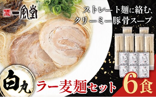 ラーメン 一風堂 白丸 ラー麦麺 セット 6食 地域商社ふるさぽ《90日以内に出荷予定(土日祝除く)》福岡県 鞍手町 ラーメン とんこつ 豚骨スープ 豚骨ラーメン ラー麦 麺---skr_fsipdr_90d_26_10000_6s---