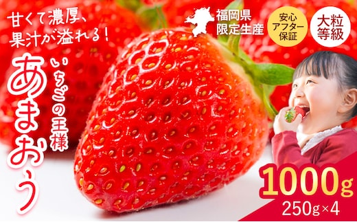 ★2027年出荷分★あまおう 大容量 あまおう いちご 1000g フルーツ 【先行予約】【着日指定不可】《2月中旬-3月中旬頃出荷》ふるさと納税 いちご 福岡県 鞍手郡 【鞍手町】---kr_ckramar_q2_26_9500_1000g---