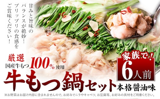 もつ鍋 福岡 もつ鍋 鍋 国産牛小腸100％使用 牛もつ鍋セット 6人前（2人前×3セット） 本格醤油味《30日以内に出荷予定(土日祝除く)》牛もつ ちゃんぽん麺 唐辛子 ニンニク セット 博多 国産 ヤマタカ醤油 鞍手町---kr_fkmtnb_30d_25_8500_6i---