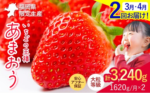 【2ヶ月定期便】いちご あまおう 先行予約 いちご大量 1620g ふるさと納税 フルーツ 苺 旬 訳あり 数量限定 ふるさと納税 不揃い 傷 4月 規格外 規格外果物 くだもの 果物 【着日指定不可】《2027年3月・4月頃出荷予定》---kr_camtei_26_26000_1620g_mo2---