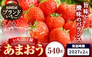 いちご あまおう 先行予約 いちご 大量 540g フルーツ《2027年2月上旬-2月末頃出荷》苺 旬 くだもの 果物 福岡県 鞍手町---iskr_camoys_ac2_r8_7500_540g---