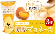 味宝卵使用 卵黄のみ たまご屋さんの濃厚 マヨネーズ 300g 3本 野上養鶏場《60日以内に出荷予定(土日祝除く)》福岡県 鞍手町 味宝卵 卵黄 濃厚 マヨネーズ マヨ サラダ ディップ トースト 万能 調味料---skr_ngmmhrmy_60d_r7_8500_3h---