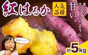 厳選 紅はるか 5kg しょうた農園《12月上旬-3月末頃出荷》福岡県 鞍手町 紅はるか さつまいも 芋 いも イモ サツマイモ---skr_aktkbn_af123_25_7000_5kg---