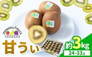 キウイ 甘うぃ 約3kg 南国フルーツ株式会社【26年度出荷】《10月下旬-11月末頃出荷》福岡県 鞍手町 福岡県産 キウイ フルーツ キウイフルーツ 果物---skr_nngka_cf10_26_16000_33i---