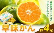 みかん 早味かん 約4kg  南国フルーツ株式会社【26年度出荷】《9月中旬-9月下旬頃出荷》福岡県 鞍手町 福岡県産 みかん 早味かん フルーツ 果物---skr_nngkw_b9_26_20000_4kg---