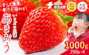 ★2027年出荷分★あまおう 大容量 あまおう いちご 1000g フルーツ 【先行予約】【着日指定不可】《2月中旬-3月中旬頃出荷》ふるさと納税 いちご 福岡県 鞍手郡 【鞍手町】---kr_ckramar_q2_26_9500_1000g---
