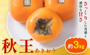 柿 秋王 約3kg（8-12玉） 南国フルーツ株式会社【26年度出荷】《10月中旬-11月末頃出荷》福岡県 鞍手町 福岡県産 柿 フルーツ 果物---skr_cnngka_bc10_26_30500_12i---