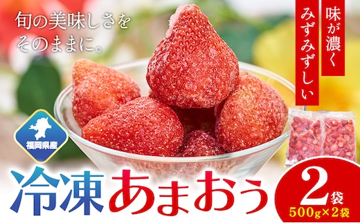【2026年度出荷】福岡県産 冷凍あまおう1kg(500g×2袋) 南国フルーツ株式会社《12月中旬-3月末頃出荷》福岡県 鞍手町 あまおう いちご イチゴ 送料無料【配送不可地域あり】---skr_fnngkam_bc123_26_13500_1kg---