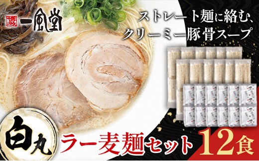 ラーメン 一風堂 白丸 ラー麦麺 セット 12食 地域商社ふるさぽ《90日以内に出荷予定(土日祝除く)》福岡県 鞍手町 ラーメン とんこつ 豚骨スープ 豚骨ラーメン ラー麦 麺---skr_fsipdr_90d_26_15000_12s---