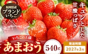 いちご あまおう 先行予約 いちご 大量 540g フルーツ《2027年3月上旬-3月末頃出荷》苺 旬 くだもの 果物 福岡県 鞍手町---iskr_camoys_ac3_r8_7000_540g---