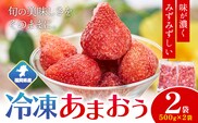【2026年度出荷】福岡県産 冷凍あまおう1kg(500g×2袋) 南国フルーツ株式会社《12月中旬-3月末頃出荷》福岡県 鞍手町 あまおう いちご イチゴ 送料無料【配送不可地域あり】---skr_fnngkam_bc123_26_13500_1kg---