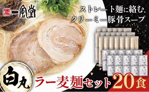 ラーメン 一風堂 白丸 ラー麦麺 セット 20食 地域商社ふるさぽ《90日以内に出荷予定(土日祝除く)》福岡県 鞍手町 ラーメン とんこつ 豚骨スープ 豚骨ラーメン ラー麦 麺---skr_fsipdr_90d_26_20000_20s---