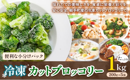冷凍 ブロッコリー 冷凍 カット ブロッコリー 200g × 5袋 合計 1kg 花田農園 《11月下旬-3月末頃出荷》福岡県 鞍手町 冷凍 ぶろっこりー 野菜 ブロッコリー 惣菜 料理 お弁当 小分け パック 送料無料---skr_fhndbr_11g3m_26_9000_1kg---