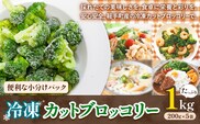 冷凍 ブロッコリー 冷凍 カット ブロッコリー 200g × 5袋 合計 1kg 花田農園 《11月下旬-3月末頃出荷》福岡県 鞍手町 冷凍 ぶろっこりー 野菜 ブロッコリー 惣菜 料理 お弁当 小分け パック 送料無料---skr_fhndbr_11g3m_26_9000_1kg---