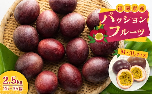 福岡県産 パッションフルーツ 2.5kg (M～3Lサイズ 25～35個) 果物 フルーツ ※配送不可:離島