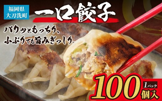 大刀洗 一口餃子 100個 特製たれ セット【ふるさと納税限定】 餃子