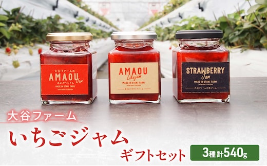 ジャム 大谷ファーム いちごジャム セット 3種 計540g ギフトセット ※配送不可：離島