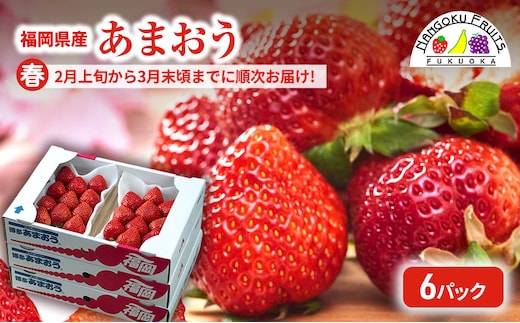 【春】福岡産あまおう6パック いちご 苺 イチゴ フルーツ 果物 ※配送不可:離島