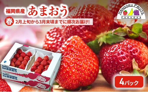 【春】福岡産あまおう4パック いちご 苺 イチゴ フルーツ 果物 ※配送不可:離島