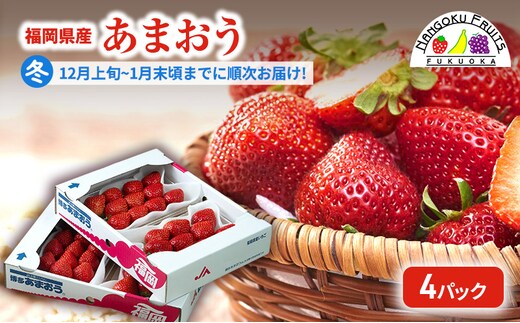 【冬】福岡産あまおう4パック いちご 苺 イチゴ フルーツ 果物 ※配送不可:離島