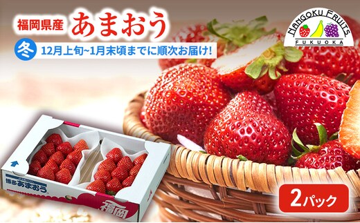 【冬】福岡産あまおう2パック いちご 苺 イチゴ フルーツ 果物 ※配送不可:離島