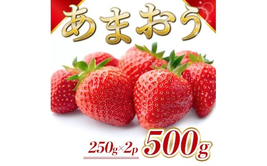 苺 福岡県産 あまおう 500g（2パック）先行予約 発送予定：2025年12月より順次発送 いちご イチゴ 果物 ※配送不可:離島