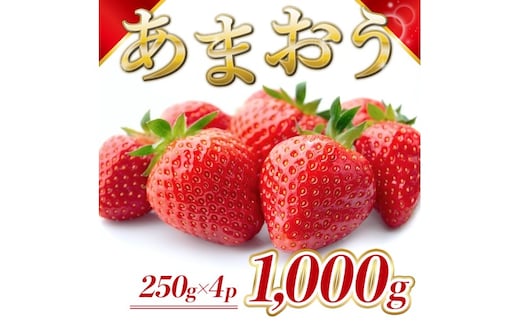 苺 福岡県産 あまおう 1000g（4パック） 先行予約 発送予定：2026年2月より順次発送 いちご イチゴ 果物 ※配送不可:離島