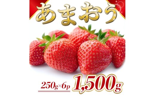 苺 福岡県産 あまおう 1500g（6パック） 先行予約 発送予定：2026年2月より順次発送 いちご イチゴ 果物 ※配送不可:離島