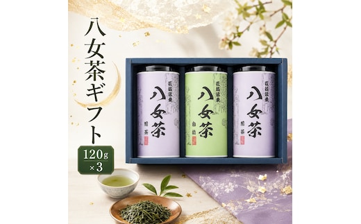 八女茶 ギフト 120g×3 SGY-50 お茶 茶 緑茶