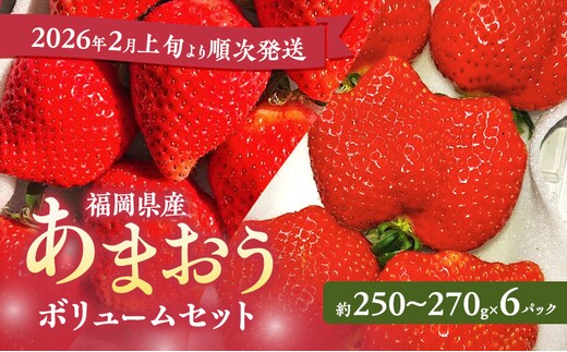 あまおう 【2026年2月上旬より順次発送】 あまおうボリュームセット 6パック イチゴ 苺 いちご 果物 福岡県産 ※配送不可:離島