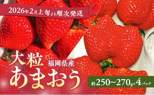 あまおう 【2026年2月上旬より順次発送】大粒あまおう 4パック イチゴ 苺 いちご 果物 福岡県産 ※配送不可:離島