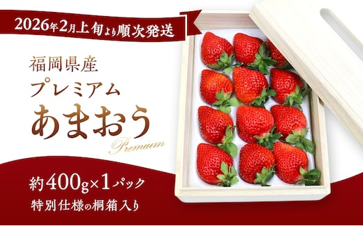 あまおう 【2026年2月上旬より順次発送】ティッシュボックス用 特別仕様の桐箱入り プレミアムあまおう 約400g×1パック 【ギフト・お祝い・贈答用】 イチゴ 苺 いちご 果物 福岡県産 ※配送不可:離島