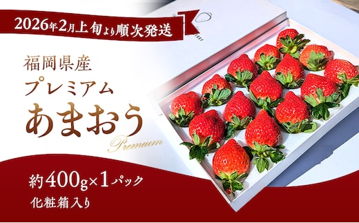 あまおう 【2026年2月上旬より順次発送】化粧箱入り プレミアムあまおう 約400g×1パック 【ギフト・お祝い・贈答用】 イチゴ 苺 いちご 果物 福岡県産 ※配送不可:離島
