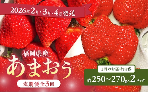 あまおう 定期便 3回 【定期便】あまおう2パック×3回（2月、3月、4月発送） イチゴ 苺 いちご 果物 福岡県産 ※配送不可:離島