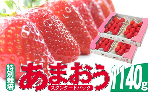 いちご 2025年12月より発送 うるう農園のあまおう スタンダード4パック 約1.14kg 果物 フルーツ デザート 食後 特別栽培 福岡県産 国産 日本産 ※配送不可：離島