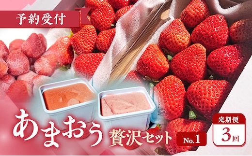【2026年3月上旬より発送開始】【予約受付・3回定期便】あまおう贅沢セットNo.1 ※配送不可：北海道・沖縄県・離島
