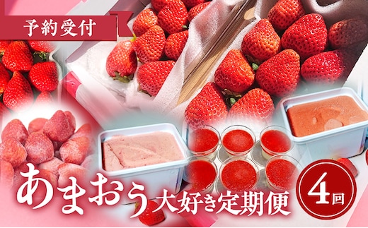 【2026年2月上旬より発送開始】【予約受付・4回定期便】あまおう大好き定期便 ※配送不可：北海道・沖縄県・離島