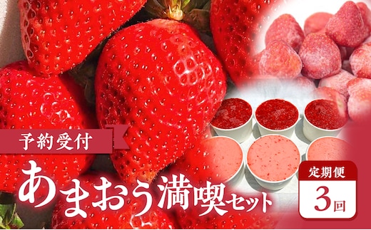 【2026年3月上旬より発送開始】【予約受付・3回定期便】あまおう満喫セット ※配送不可：北海道・沖縄県・離島