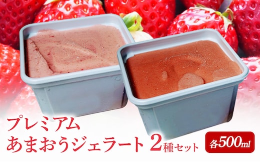 プレミアムあまおうジェラート 2種セット ( シャーベット ・ アイス 各500ml) あまおう いちご デザート ジェラート ※配送不可：北海道・沖縄・離島