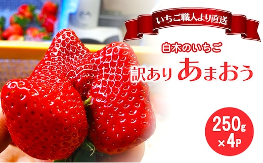 訳あり いちご いちご職人 白木のいちご あまおう ふぞろいな「いちご」たち 250g×4P 訳アリ イチゴ 苺 果物 デザート ※配送不可：沖縄・離島