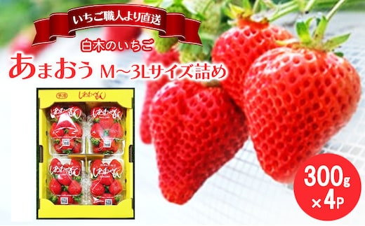 いちご いちご職人 白木のいちご あまおう 300g×4パック詰め (M～3Lサイズ) イチゴ 苺 果物 デザート ※配送不可：沖縄・離島