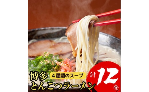 博多とんこつラーメン 12食分！4種類の博多豚骨スープ付き ラーメン