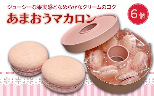洋菓子 あまおう マカロン 6個入り いちご スイーツ 菓子 お菓子