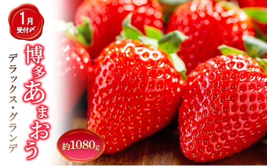 いちご 4パック 計約1080g 博多あまおう デラックス グランデ セット 詰め合わせ おまおう 苺 イチゴ 果物 くだもの フルーツ 旬のフルーツ 季節の果物 福岡 福岡県 大刀洗町 お申込：2026年1月25日迄