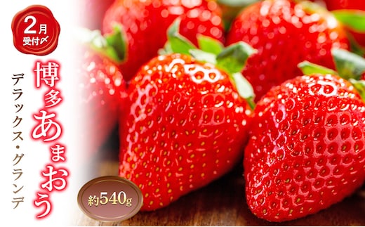 いちご 2パック 計約540g 博多あまおう デラックス グランデ セット 詰め合わせ おまおう 苺 イチゴ 果物 くだもの フルーツ 旬のフルーツ 季節の果物 福岡 福岡県 大刀洗町 お申込：2026年2月10日迄