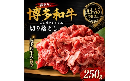 訳あり！【A4～A5】この味プレミアム！博多和牛切り落とし 250g | 牛肉 ブランド牛 国産 和牛 切落とし 福岡 博多 すき焼き しゃぶしゃぶ 肉じゃが 炒め物 CP055a